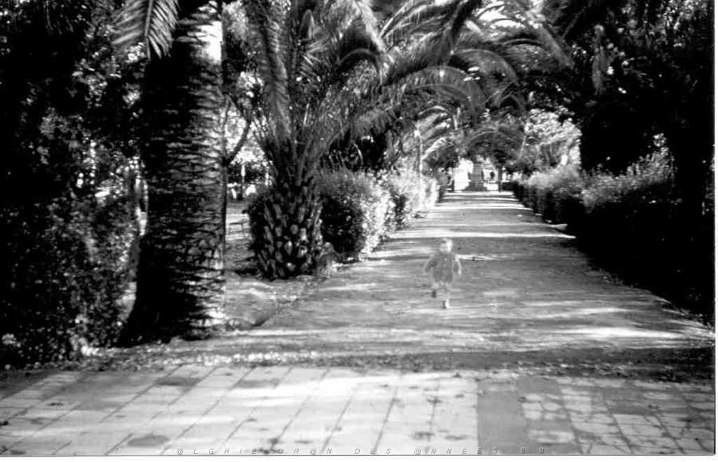 TABIA 1950 ALLEE DU MONUMENT VERS LA PLACE.JPG